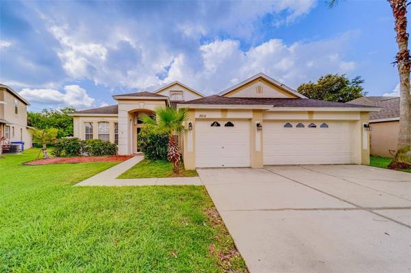 8810 TORCHWOOD DR, Trinity, FL 34655