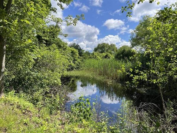 486 Sunderland Rd, Amherst, MA 01002