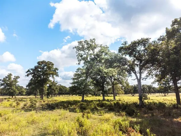 TBD County Road 175, Hallettsville, TX 77964