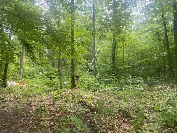 TBD Eagle Claw LN NE, Boy River, MN 56672