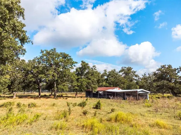 TBD County Road 175, Hallettsville, TX 77964