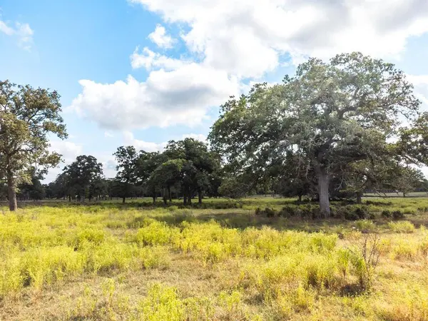 TBD County Road 175, Hallettsville, TX 77964