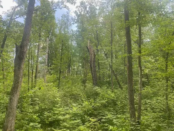 TBD Eagle Claw LN NE, Boy River, MN 56672