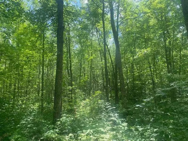 TBD Eagle Claw LN NE, Boy River, MN 56672