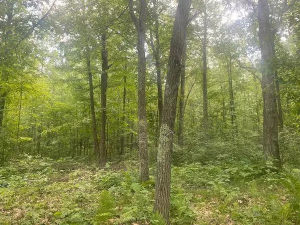 TBD Eagle Claw LN NE, Boy River, MN 56672