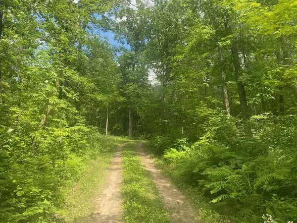 TBD Eagle Claw LN NE, Boy River, MN 56672