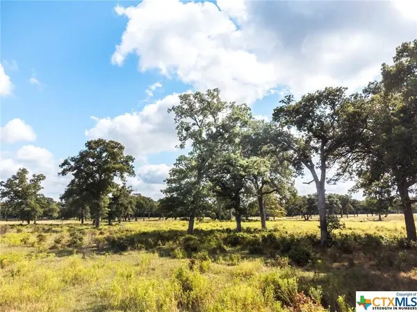 TBD County Road 175, Hallettsville, TX 77964