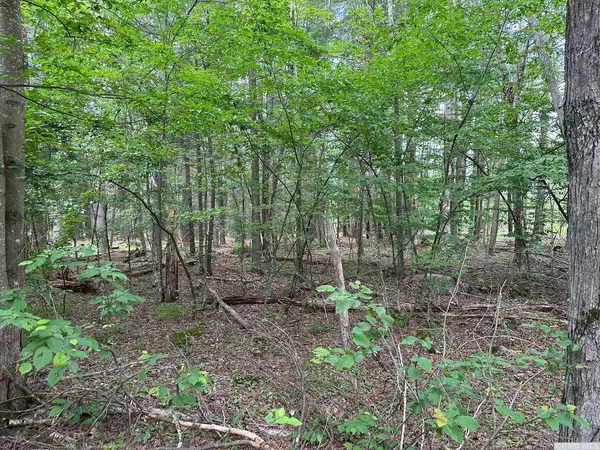 125 Shad RD, East Jewett, NY 12424