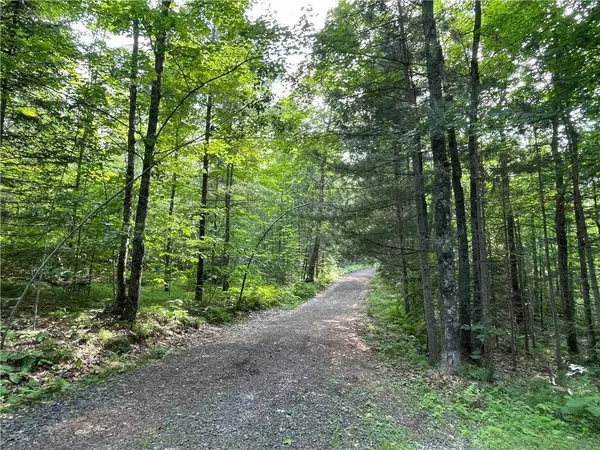 12166W Hildreth Road, Hayward, WI 54843