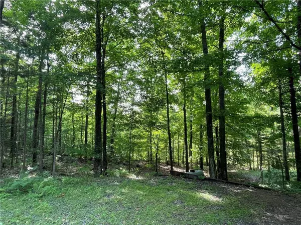 12166W Hildreth Road, Hayward, WI 54843