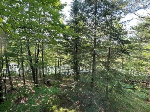 12166W Hildreth Road, Hayward, WI 54843