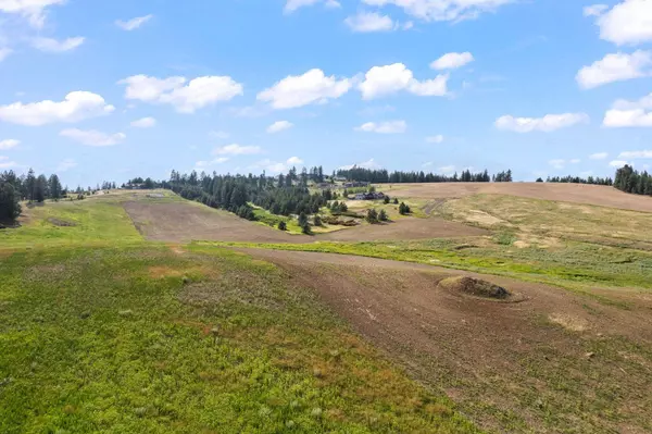 16209 N Dalton Rd, Spokane, WA 99208