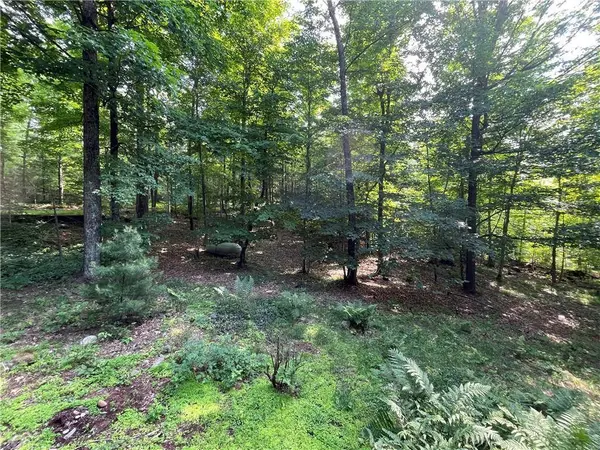 12166W Hildreth Road, Hayward, WI 54843