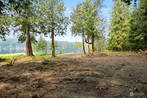 9267 Upper Frost Creek RD, Maple Falls, WA 98266