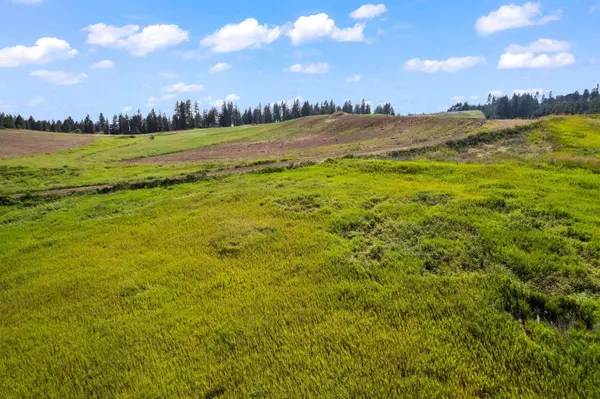 16209 N Dalton Rd, Spokane, WA 99208