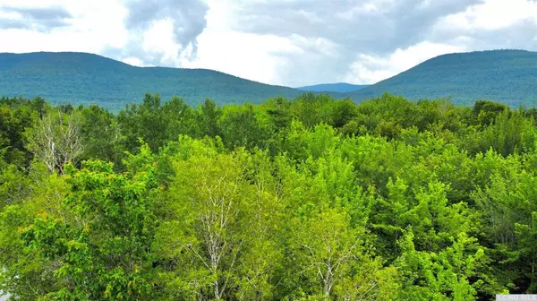 95 Shad RD, Jewett, NY 12424