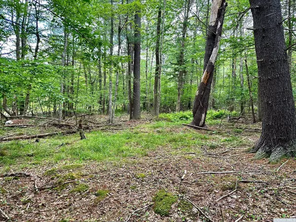 95 Shad RD, Jewett, NY 12424