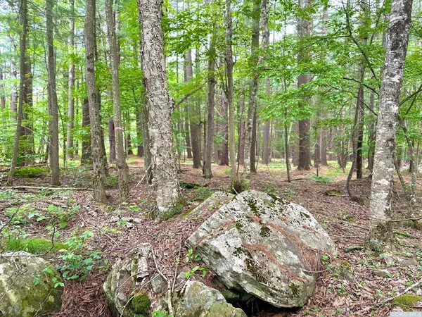 125 Shad RD, East Jewett, NY 12424