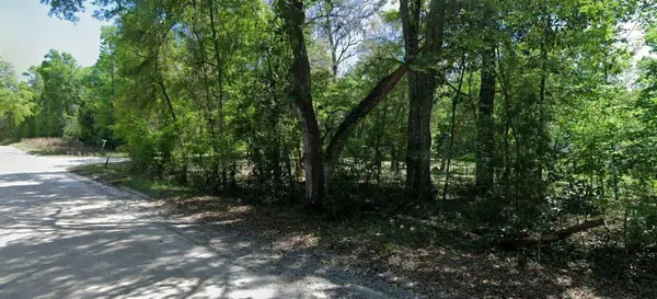 0 SW BRIDGE LN, Fort White, FL 32038