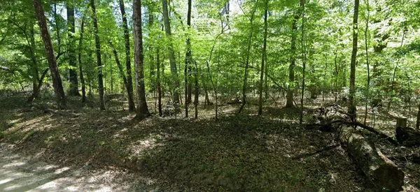 0 SW BRIDGE LN, Fort White, FL 32038