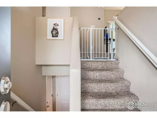 494 Cholla Dr, Loveland, CO 80537