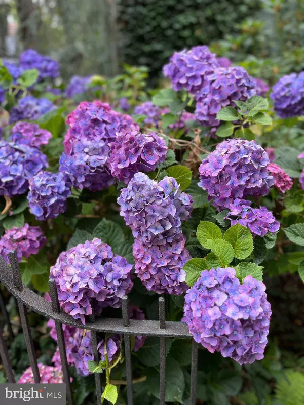 222 WOOD ST, Burlington, NJ 08016