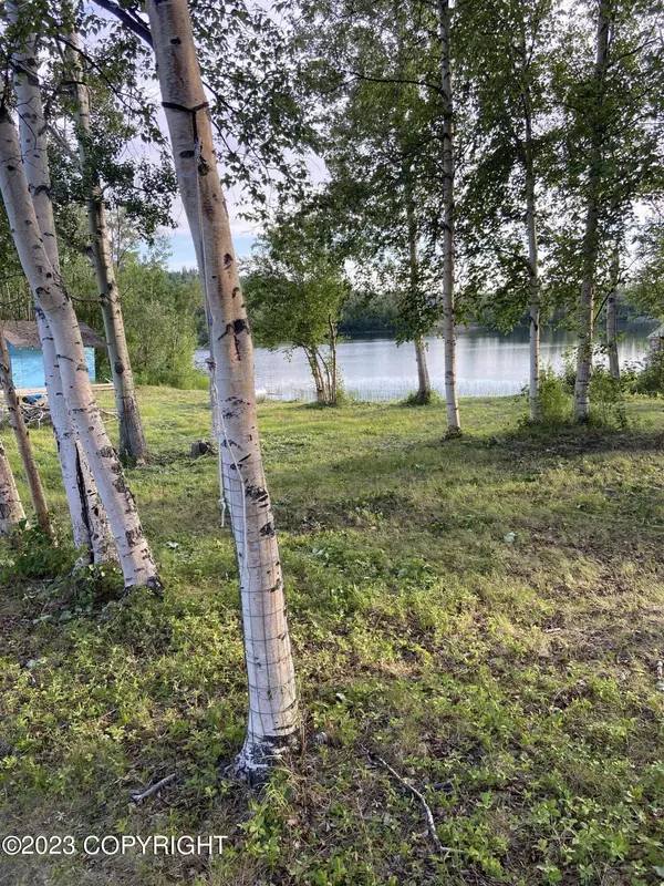 12233 N Walton Island CIR, Sutton, AK 99674