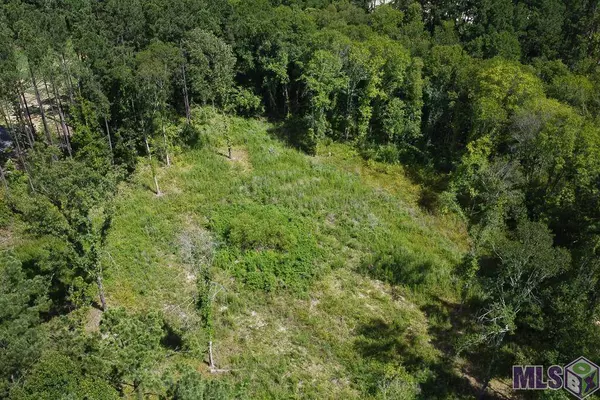 Lot 4 LA HWY 16, Denham Springs, LA 70706