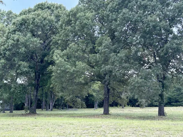 13955 Cedar Vista Lane, Tyler, TX 75704