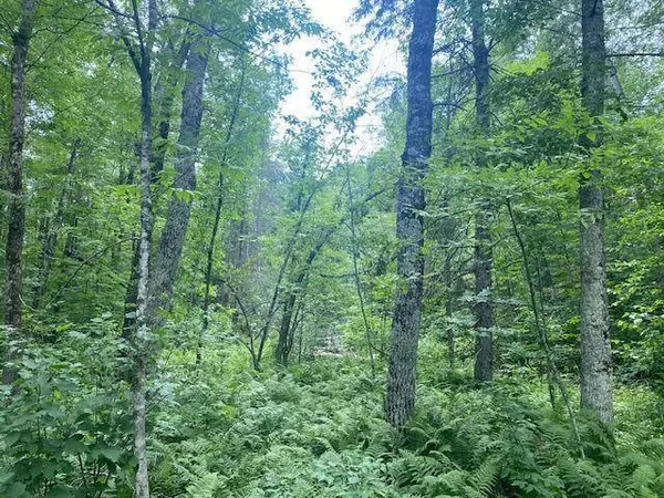 33xx Mahogany ST, Isle, MN 56342