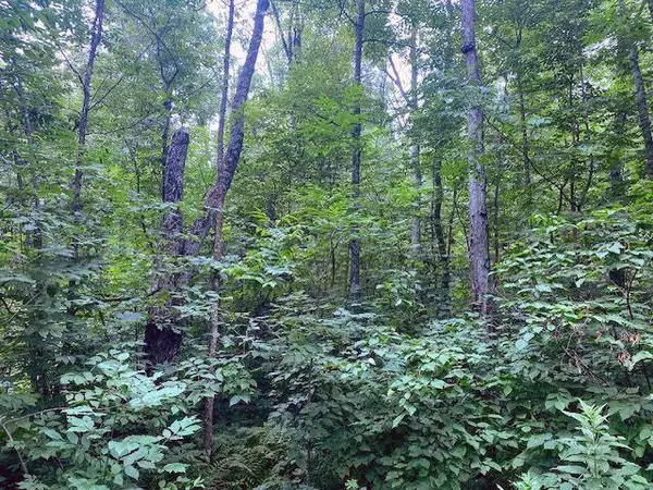 33xx Mahogany ST, Isle, MN 56342