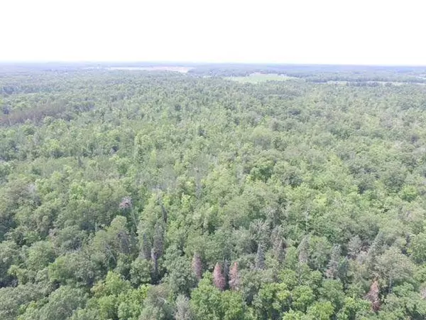 33xx Mahogany ST, Isle, MN 56342