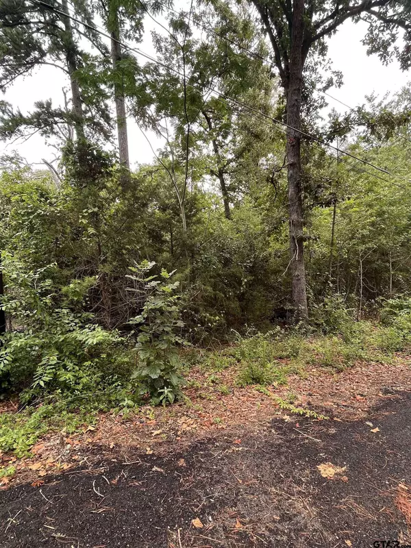 TBD Valley View Dr, Frankston, TX 75763