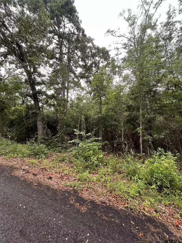 TBD Valley View Dr, Frankston, TX 75763