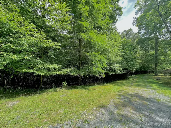 TBD otter CT, Seven Devils, NC 28605