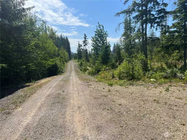 6485 South Pass RD, Maple Falls, WA 98266