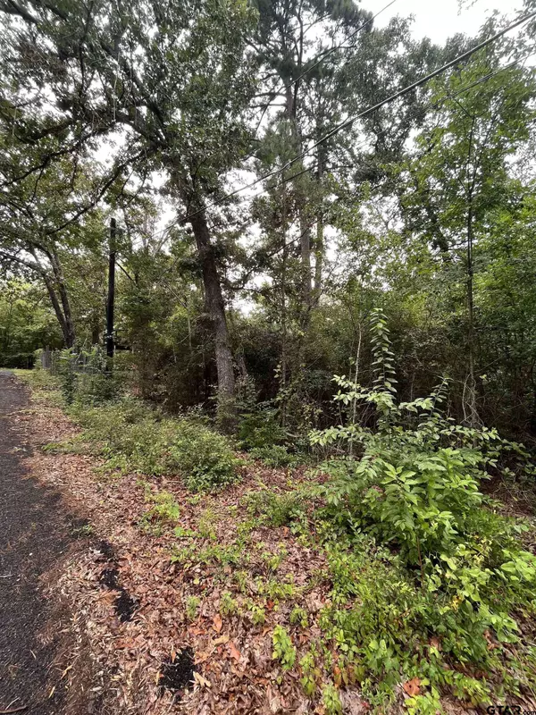 TBD Valley View Dr, Frankston, TX 75763