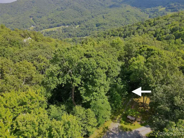 TBD otter CT, Seven Devils, NC 28605