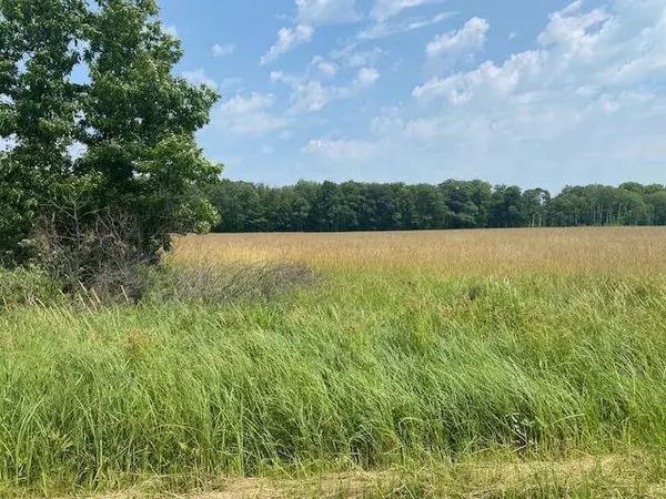 0000 Skyview ST, Brook Park, MN 55007