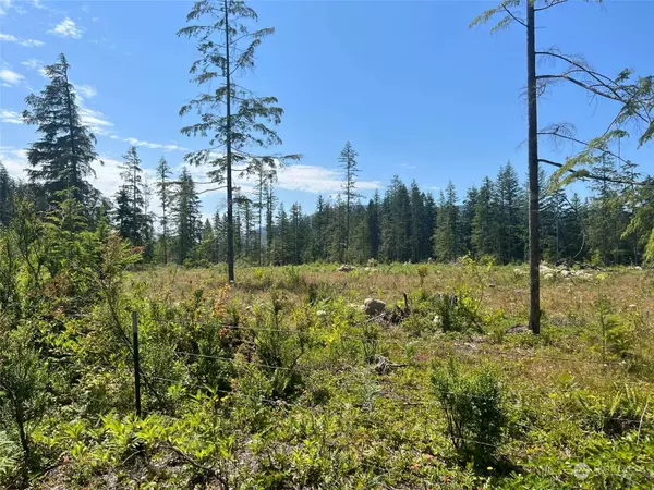 6485 South Pass RD, Maple Falls, WA 98266