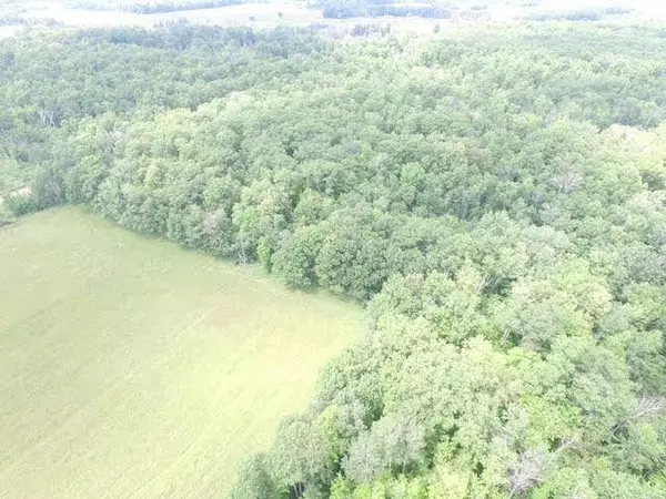 0000 Skyview ST, Brook Park, MN 55007