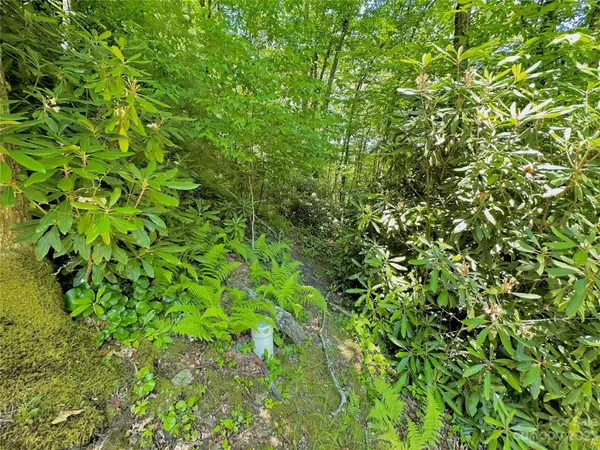 126 stoneledge LN, Blowing Rock, NC 28605