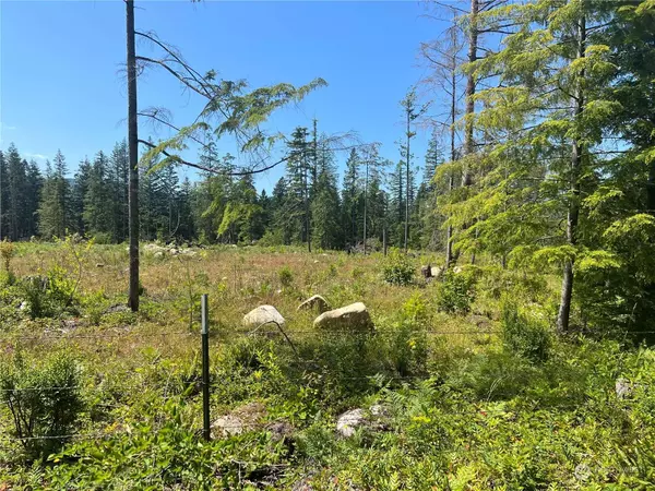 6485 South Pass RD, Maple Falls, WA 98266