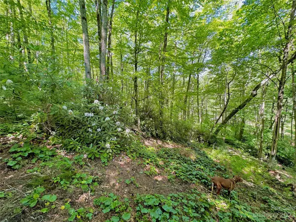 126 stoneledge LN, Blowing Rock, NC 28605