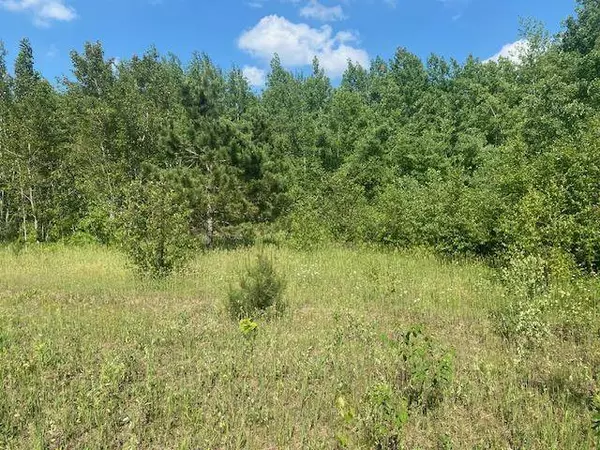 14xxx State Highway 65, Mcgregor, MN 56350