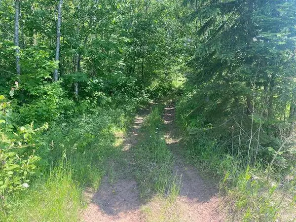 14xxx State Highway 65, Mcgregor, MN 56350