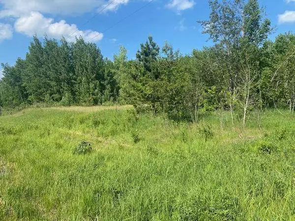 14xxx State Highway 65, Mcgregor, MN 56350