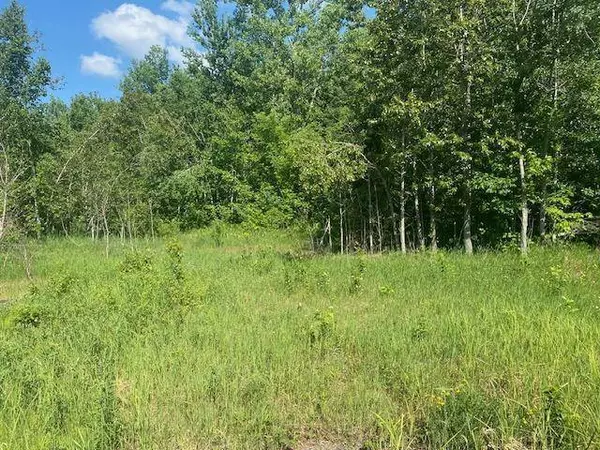 14xxx State Highway 65, Mcgregor, MN 56350