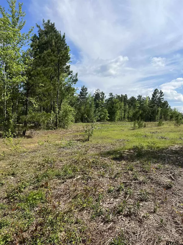 17520 CR 26, Tyler, TX 75707