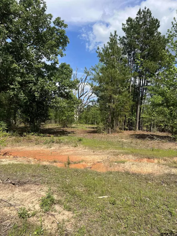 17542 CR 26, Tyler, TX 75707